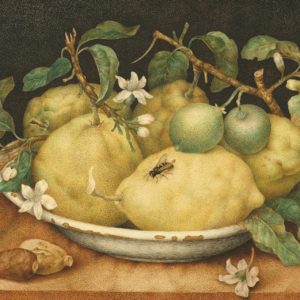 Giovanna Garzoni Bowl of Citrons note card