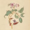 Eighteenth-Century Art 1 - Sample Pack of 6 Note Cards - Image 6