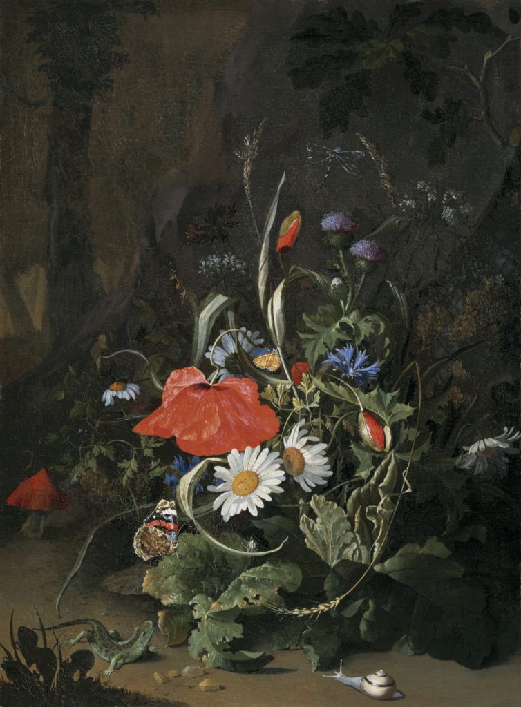 17th-Century Flower Painting  The Female Artists of In Full Bloom
