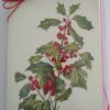 10-pack of Sprig of Holly Holiday Card