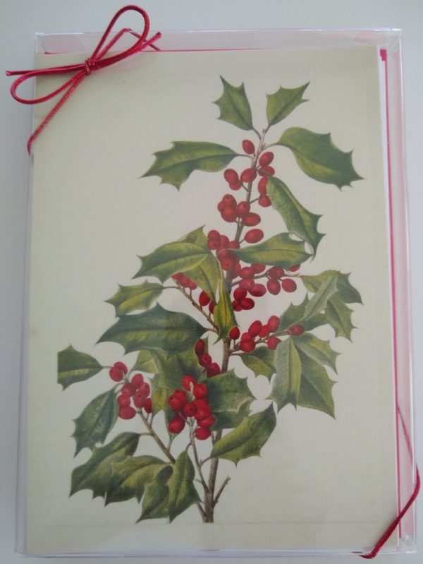 Art Herstory Mary Morris Vaux Walcott Holly Holiday Card