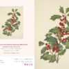 10-pack of Sprig of Holly Holiday Card - Image 3