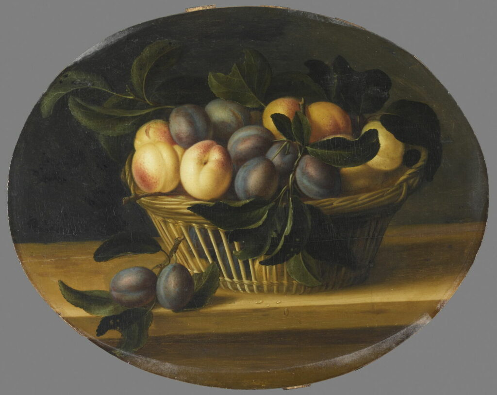 An oval still life depicting an open weave oblong wicker basket sitting on a wooden table top. In the basket are apricots or peaches on the left, leaved branches with 6 purple plums in the middle, and more apricots on the right. On the table in front of the basket and slightly to the left as the viewer looks at the picture is another small leafy plum branch with 2 purple fruits.