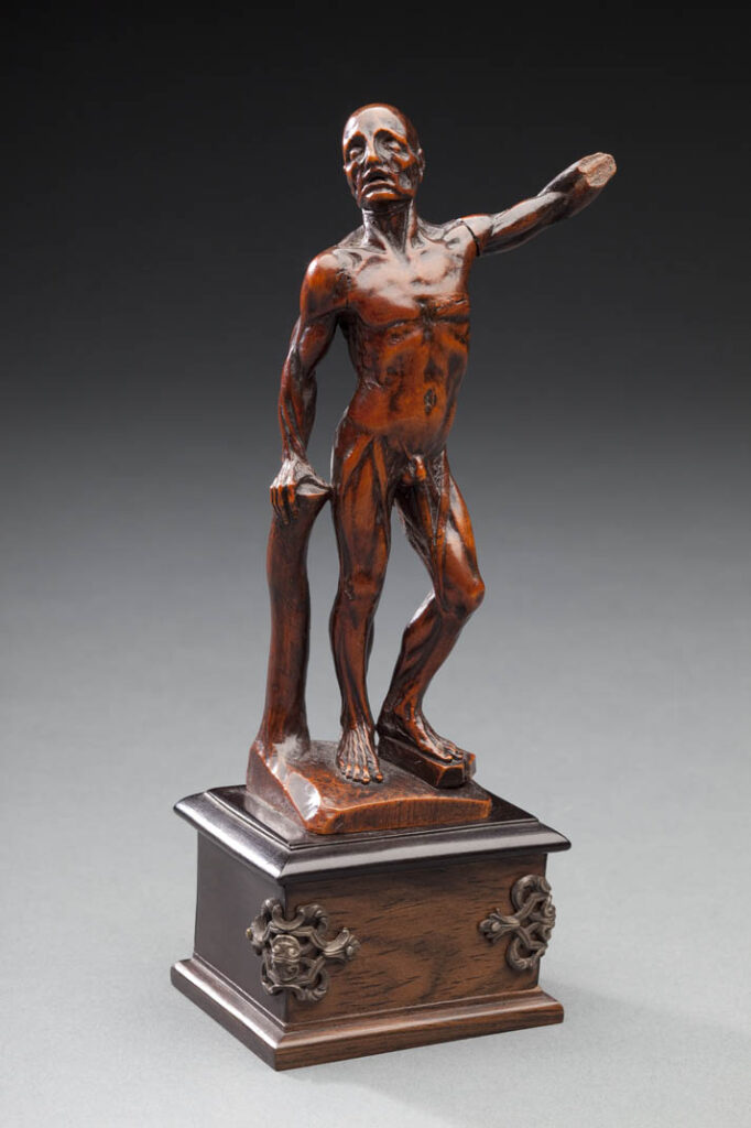 A small brown boxwood statuette by an unknown maker from the women artists show, depicting a flayed man, said to replicate in small scale an anatomical model by Anna Morandi Manzolini