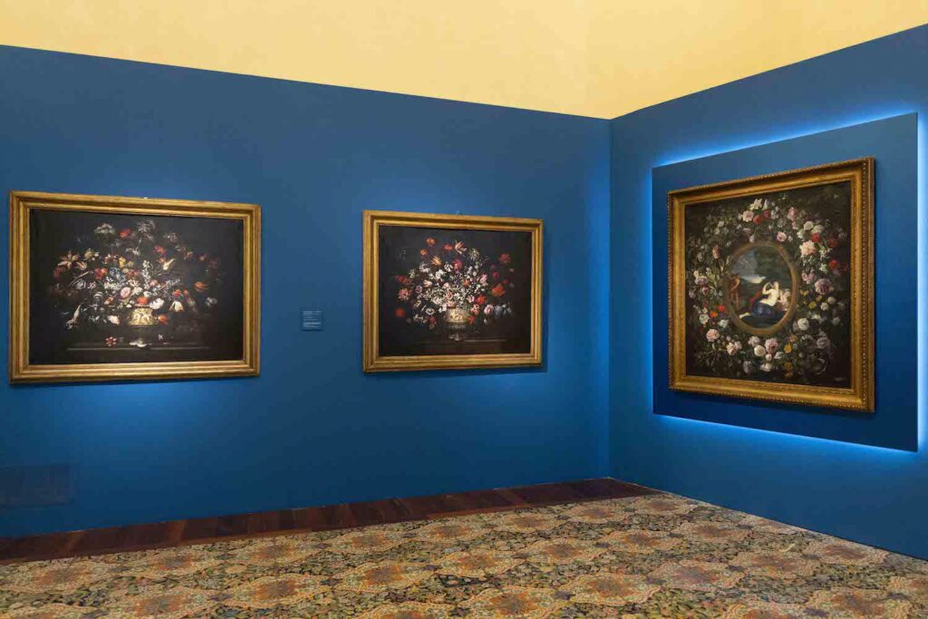 An installation view of three flower still life paintings against blue walls. The wall to the viewer's left contains two medium sized paintings; on the perpendicular wall, to the viewer's right, is a larger painting with backlighting around a blue panel containing the artwork.