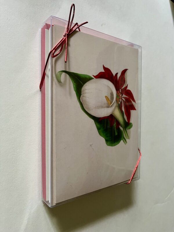 Mixed 12-pack of Botanical Holiday Cards - Image 3