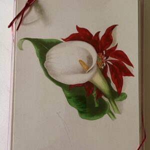 Mixed 12-pack of Botanical Holiday Cards
