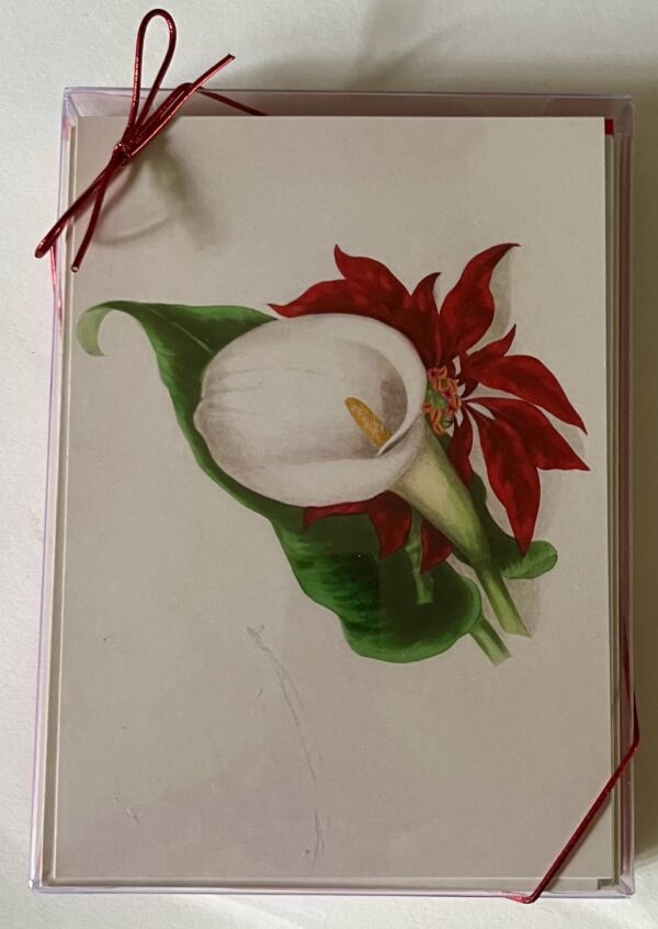 Mixed 12-pack of Botanical Holiday Cards