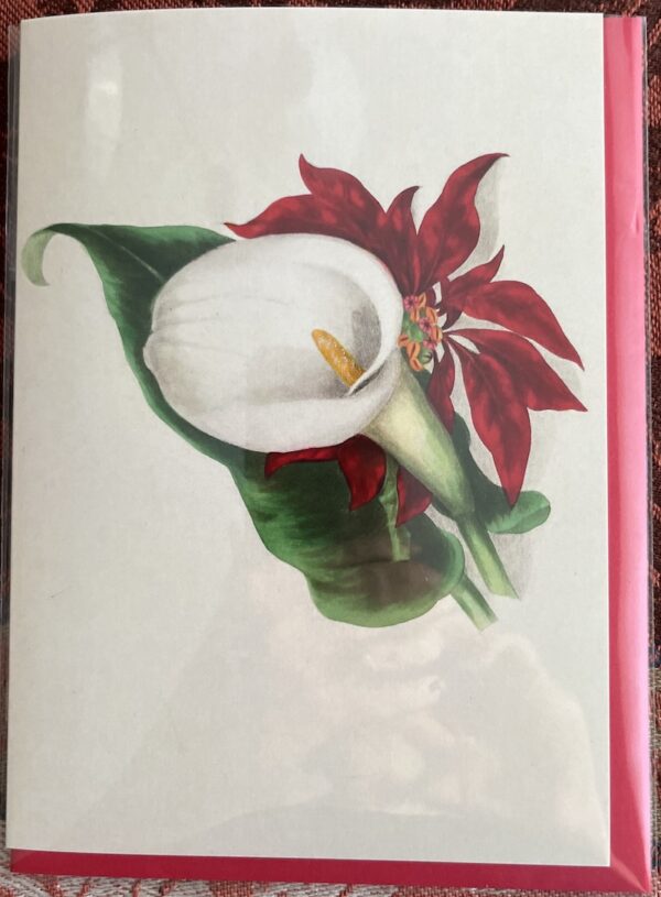 Poinsettia and Calla Lily Holiday Card - Image 6